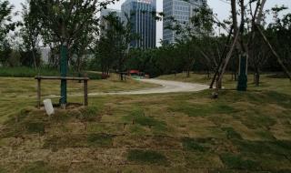 合肥园博园开放时间及门票
